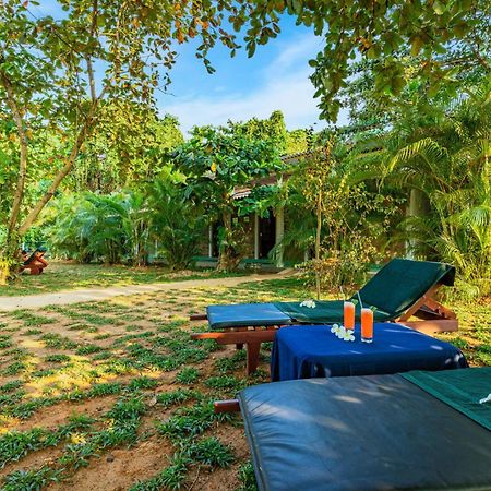 Sath Villa Naadi Ayurveda Resort Moragalla Luaran gambar